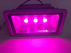 Світлодіодний фіто прожектор для рослин 150W IP65 Код.59362, фото 2