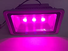 Світлодіодний фітопрожектор для рослин 150 W IP65 Код.59362, фото 2