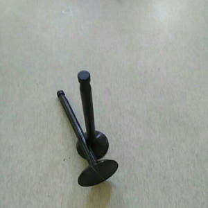 Клапан дизельного двигуна ZS/ZH1100