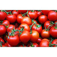 Насіння томату "Ірішка"