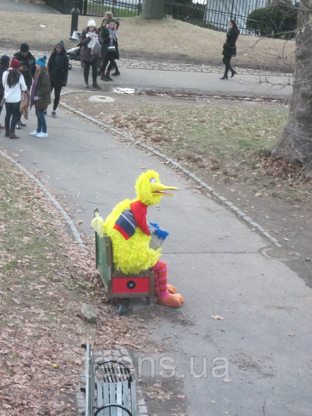 Нью-Йорк,Центральный парк Раздел Детское термобелье - фото teens.ua - Нью-Йорк,Центральный парк