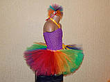 Дитячий карнавальний костюм Веселки, фото 6