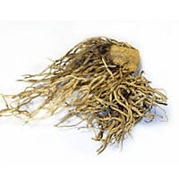 Кукольник / Чемерица Лобеля (корень), 100г.