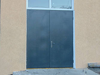 Вхідні двері (2 ств), Д-311