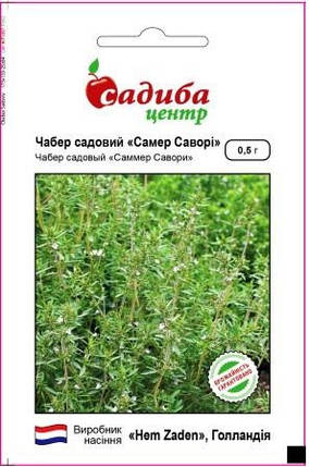Насіння чаберу садового Саммер Савой 0,5 г, Hem Zaden, фото 1