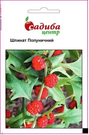 Насіння суничного шпинату 0,1 г, Нім Zaden