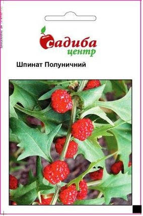 Насіння суничного шпинату 0,1 г, Bejo Zaden, фото 1