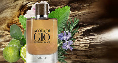 Giorgio Armani Acqa Di Gio Absolu парфумована вода 100 ml. (Джорджіо Армані Аква Ді Джіо Абсолю), фото 6