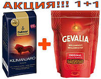 Кофе Dallmayr Kilimanjaro в зернах 250 гр + Gevalia Mellan Rost Original Instant растворимый 200 гр