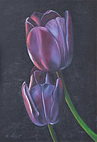 Тюльпаны (Вдвоем) холст 70х50 картина масло