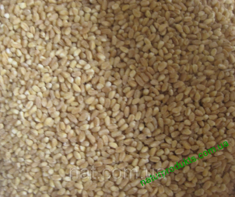Крупа пшеничная (ярая) ОРГАНИЧЕСКАЯ, в/с, 500 г - фото 2 - id-p64425444