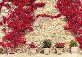 Фотошпалери флізелінові 368x254 см Червоні квіти на кам'яній стіні (3581V8)+клей