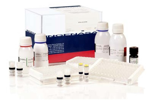 Ingezim PPV. Тест-система для підрахунку специфічних антитіл до Парвовірусу свиней методом ІФА