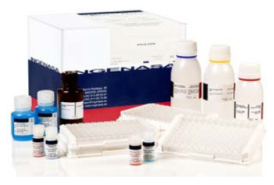 Ingezim M.Hyo Compac. Тест-система для серодіагностики вірусу Mycoplasma hyopneumoniae у свиней методом ІФА
