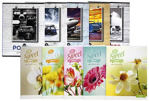 Зошит шкільний Школярик 36 аркушів клітинка мікс (20)