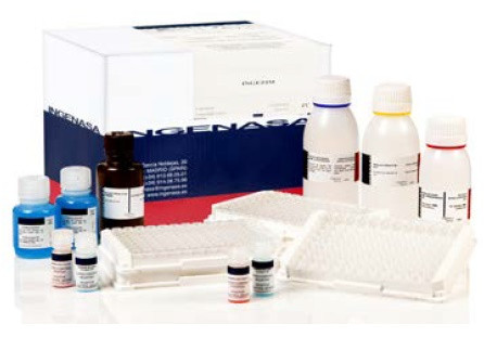 Ingezim ADV gE plus. Тест-система для серодіагностики антитіл (глікопротеїн gE) до вірусу хвороби Ауєски - фото 1 - id-p751741412