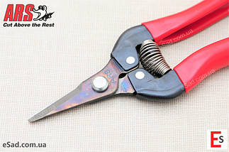Секатор ARS 300SS типу ножиці короткі леза - АРС 300SS, фото 6