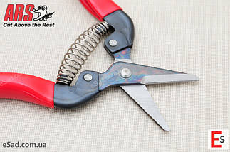 Секатор ARS 300SS типу ножиці короткі леза - АРС 300SS, фото 5