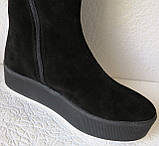 Зимові стильні жіночі замшеві ботфорти Lion чорного кольору чобітки на змійці європейська., фото 3