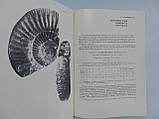 Палеонтологічних підставок опорних розрізів Юрської системи Узбекистана та супроводних р-нів (б/у, фото 8