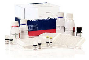 Ingezim PRRS Universal. Тест-система для серодіагностики специфічних антитіл до вірусу РРС методом ІФА.