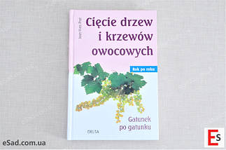 Обрізка плодових дерев та кущів рік за роком., фото 3