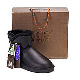 Натуральні жіночі уги UGG AUS 1978 (Stars Leather) 36,40!!, фото 5