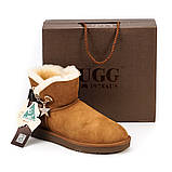 Натуральні жіночі уги UGG AUS 1978 (37,38,39,40 розмір у наявності), фото 4