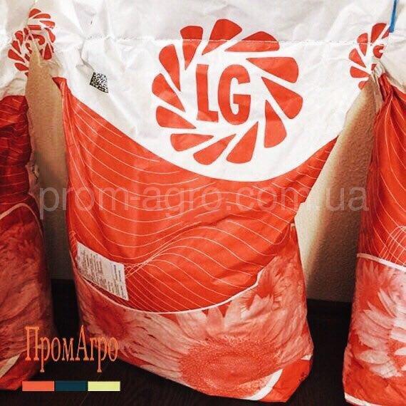 Соняшник Насіння Limagrain ЛГ 5633 Лімагрейн під Евролайтінг 2024 рік