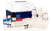 Ingezim Neospora. Тест-система для серодіагностики специфічних антитіл до вірусу Neospora Caninum методом ІФА