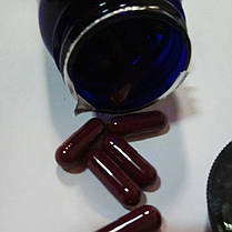 НАТО капсули ЛІСЮЄ Розбиває тромби. Очищення крові., фото 3