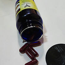 НАТО капсули ЛІСЮЄ Розбиває тромби. Очищення крові., фото 2