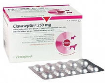 Клаасептин (Clavaseptin) 250 мг 10 табл. Vetoquinol для кішок і собак — аналог Силокс