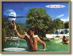 Картина - знак зодіаку №8р