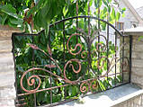 Кований паркан, фото 4