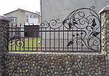 Кований паркан декоративний, фото 6