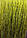 Однотонні нитки серпанок оливкового кольору, фото 3