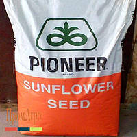 Подсолнечник Семена Pioneer P64HH150 Пионер 2023 год
