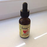 Ехінацея для дітей з апельсиновим смаком (Echinacea), ChildLife, фото 4