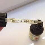 Ехінацея для дітей з апельсиновим смаком (Echinacea), ChildLife, фото 3