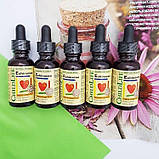 Ехінацея для дітей з апельсиновим смаком (Echinacea), ChildLife, фото 7