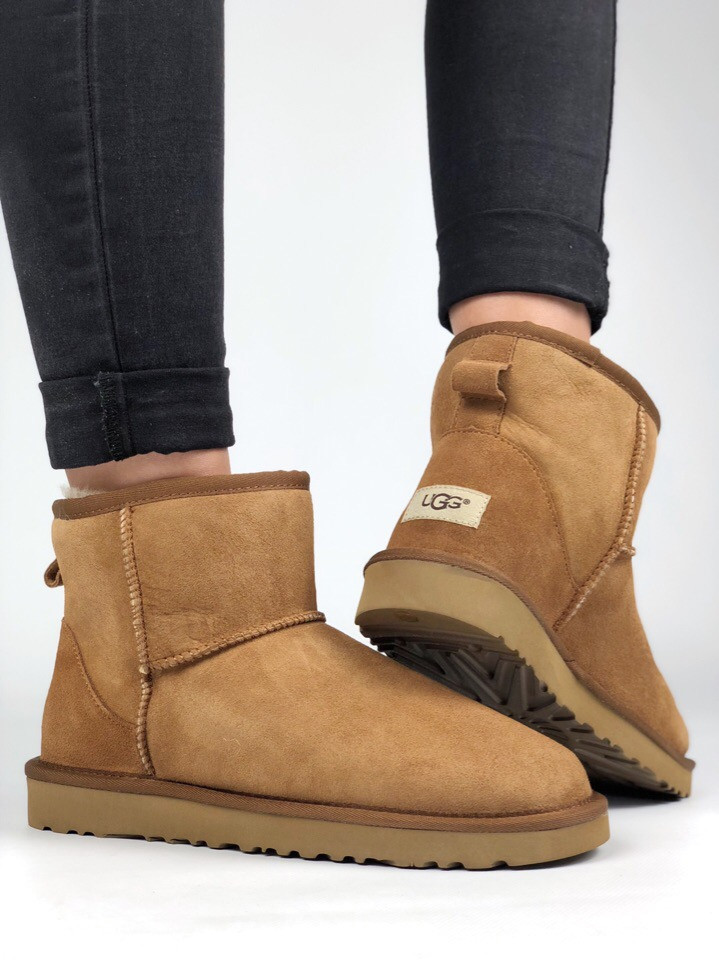 Classic mini best sale chestnut ugg
