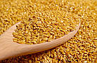 Льон золотий насіння - білок, клітковина, Омега 3, захист, ШКТ, очищення, схуднення, користь, 300 гр. Україна, фото 6