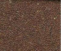 Насіння Редьки олійної 1 кг, фото 1