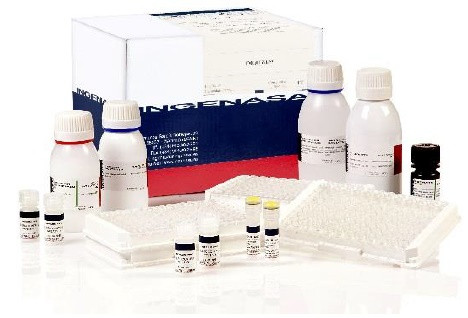 Ingezim Brucella Compac. Тест-система для діагностики специфічних LPS антитіл до вірусу Brucella методом ІФА