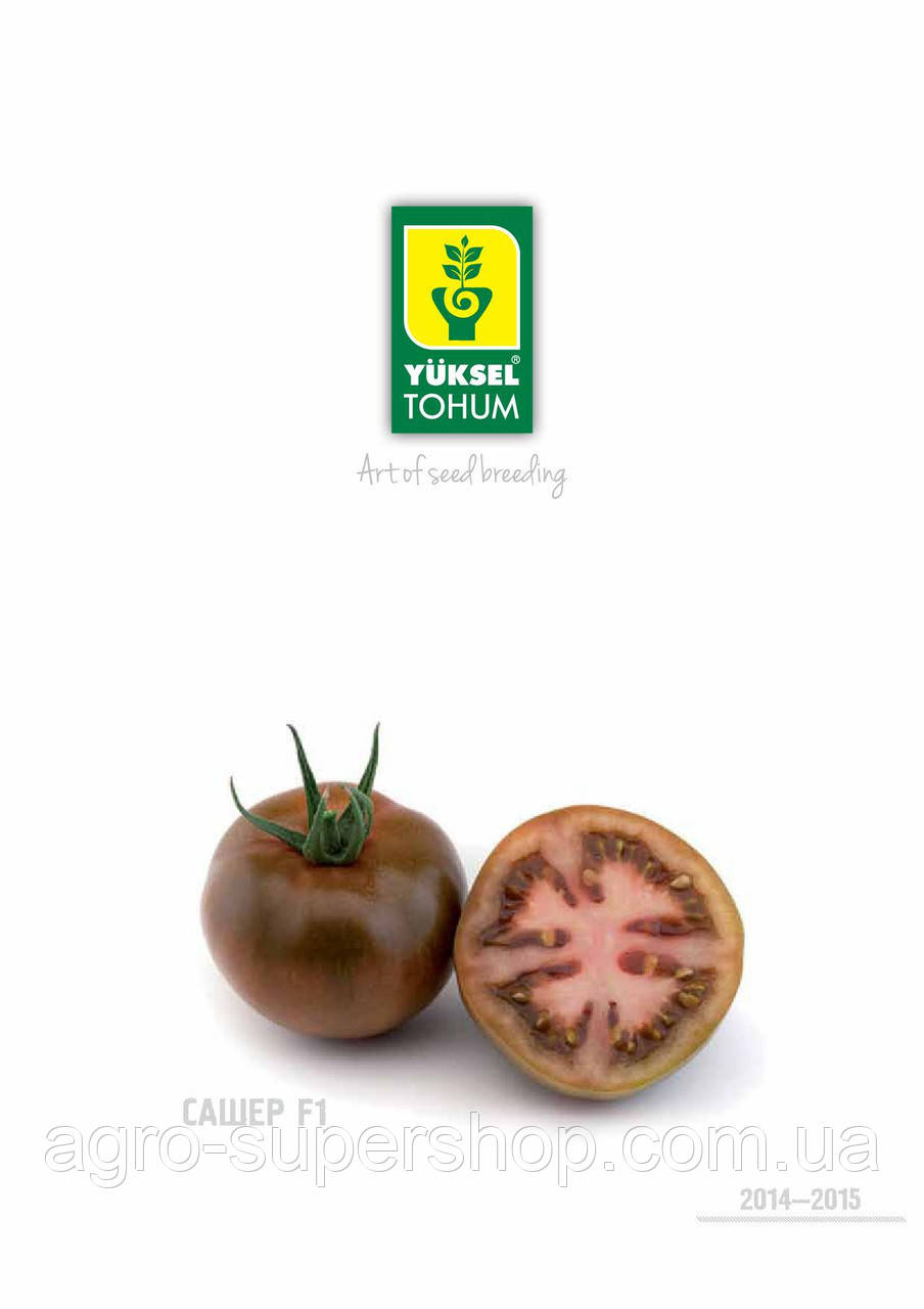 Томат Сашер F1 500 с., фото 1