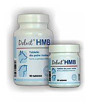 Витаминно-минеральная добавка для собак и кошек Dolfos Dolvit HMB, 30 таб. (почки)