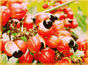 GUARANA (Гуарана), фото 5