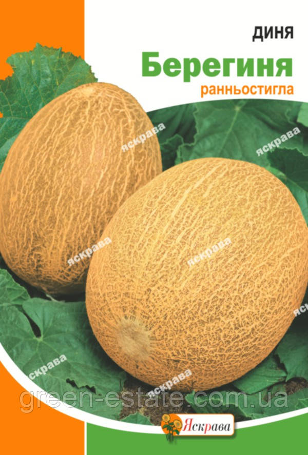 Диня Берегиня 20 р.