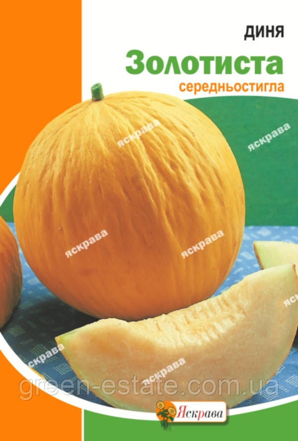 Диня Золотиста 10 р.